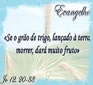 NEW 04.17 4a feira 16