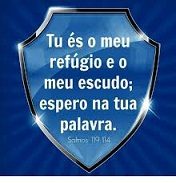 NEW 04.30 ESCUDO 29