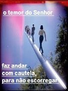 NEW 05.24 TEMO a SR