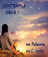 NEW 05,04 COMTEMPLA 3