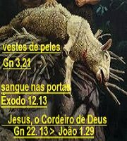 New 12.09 CORDEIRO NO ALTAR
