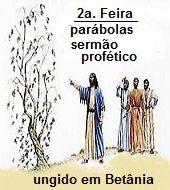 NEW 04.16 Figueira 15
