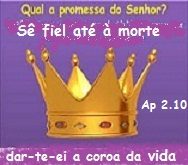 New 08.01 sê FIEL