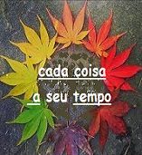 New 08.12 tempo