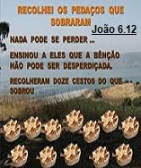 New 08.25 RECOLHE