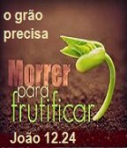 New 08.29 GRÃO MORRE