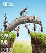 New 09.06 JUNTOS