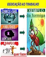 New 09.07 dedicado