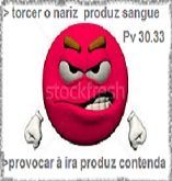 New 10.09 ZANGADO