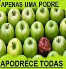 New 10.27 maçã podre