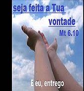New 11.11 entrega