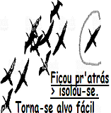 New 11.24 ISOLADO