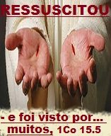 new 04.21 MUITOS VIRAM