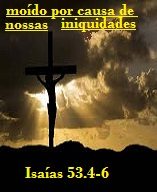 NEW 01.22 MOÍDO