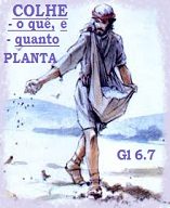 new 02.07 semeador