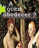 new 02.11 a queda