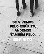 new 05.08 andanoesp