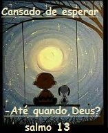 new 07.14 cansa esperar