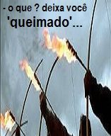 NEW 08.24 DARDOS