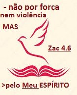 new 08.09 não por força