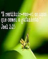 new 09.22 restitui