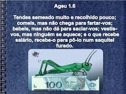 new 10.11trabalho sem resultado