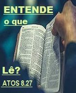 new 11.01 entende o que lê