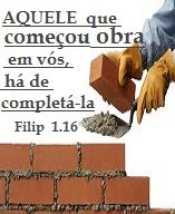 new 11.19 completar