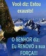 new 11.20 exusto