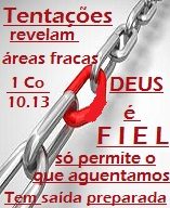 new 11.29 tentações