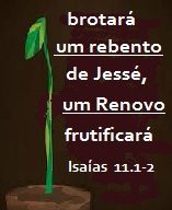 new 12.03 rebento de Jessé