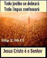 new 12.10 todo joelho