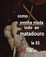 new 12.15 ovelha muda