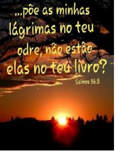 New 22 jan 28 lágrimas no odre