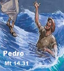 New 22 04 26 PEDRO