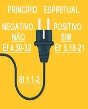 New 22 04 28 TOMADA 2 PINOS