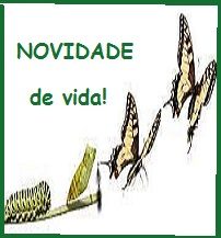 new 22 05 21 novidade de vida